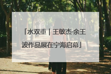 水双重｜王敏杰·余王波作品展在宁海启幕