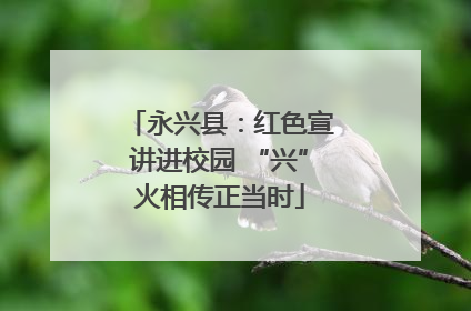 永兴县：红色宣讲进校园 “兴”火相传正当时