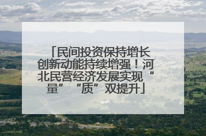 民间投资保持增长 创新动能持续增强！河北民营经济发展实现“量”“质”双提升