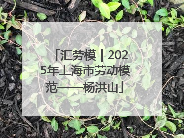 汇劳模｜2025年上海市劳动模范——杨洪山