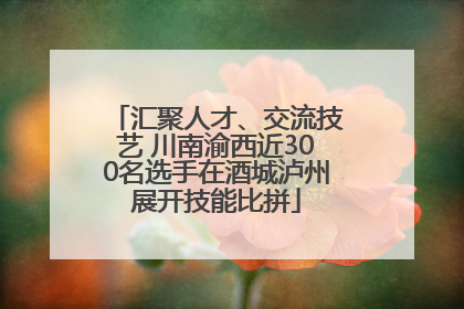 汇聚人才、交流技艺 川南渝西近300名选手在酒城泸州展开技能比拼