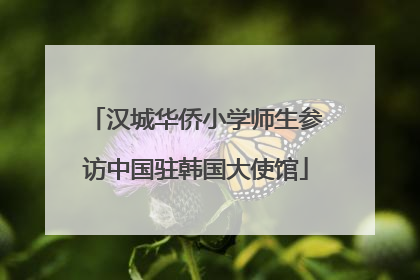 汉城华侨小学师生参访中国驻韩国大使馆