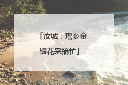 汝城：瑶乡金银花采摘忙