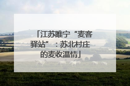 江苏睢宁“麦客驿站”：苏北村庄的麦收温情