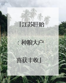 江苏盱眙：种粮大户喜获丰收