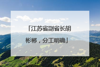 江苏省副省长胡彬郴，分工明确