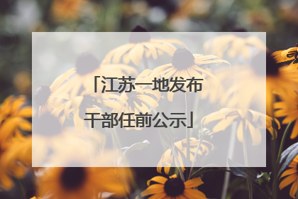 江苏一地发布干部任前公示