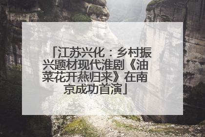 江苏兴化：乡村振兴题材现代淮剧《油菜花开燕归来》在南京成功首演