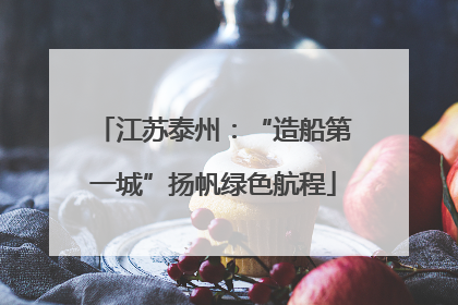 江苏泰州：“造船第一城”扬帆绿色航程