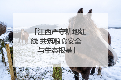 江西严守耕地红线 共筑粮食安全与生态根基