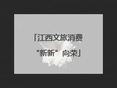 江西文旅消费“新新”向荣