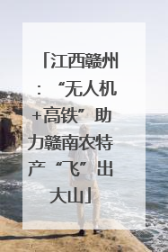 江西赣州：“无人机+高铁”助力赣南农特产“飞”出大山
