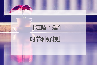 江陵：端午时节种好粮