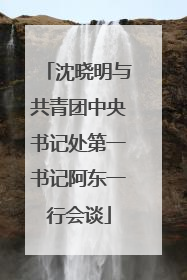 沈晓明与共青团中央书记处第一书记阿东一行会谈