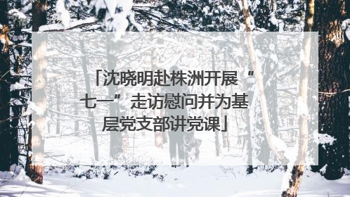 沈晓明赴株洲开展“七一”走访慰问并为基层党支部讲党课