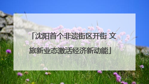 沈阳首个非遗街区开街 文旅新业态激活经济新动能