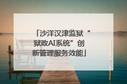 沙洋汉津监狱“狱政AI系统”创新管理服务效能