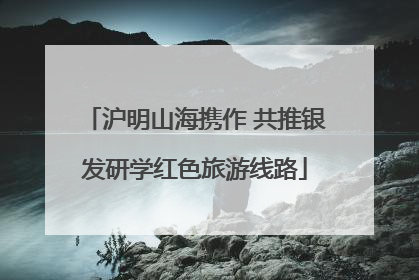 沪明山海携作 共推银发研学红色旅游线路