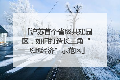 沪苏首个省级共建园区，如何打造长三角“飞地经济”示范区