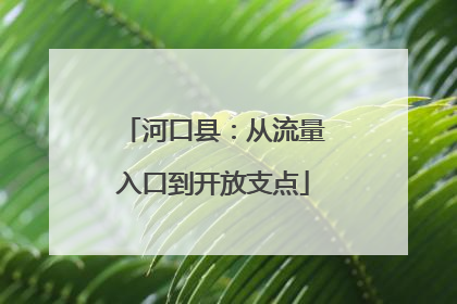 河口县：从流量入口到开放支点