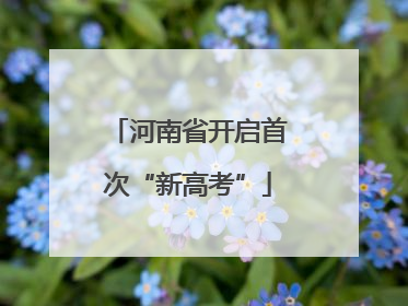 河南省开启首次“新高考”