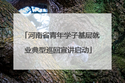河南省青年学子基层就业典型巡回宣讲启动