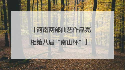河南两部曲艺作品亮相第八届“南山杯”