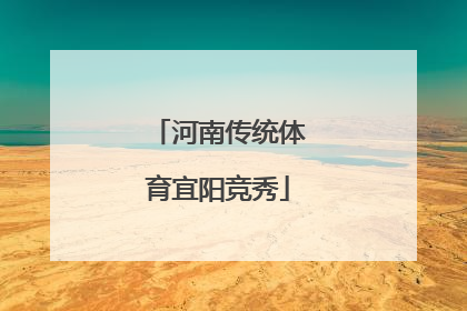 河南传统体育宜阳竞秀