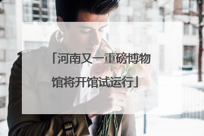 河南又一重磅博物馆将开馆试运行