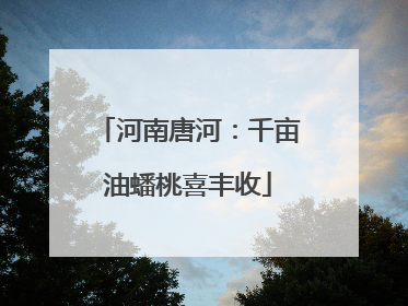 河南唐河：千亩油蟠桃喜丰收