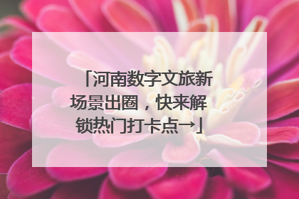 河南数字文旅新场景出圈，快来解锁热门打卡点→