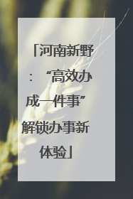 河南新野：“高效办成一件事”解锁办事新体验