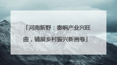 河南新野：奏响产业兴旺曲，铺展乡村振兴新画卷