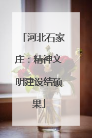河北石家庄：精神文明建设结硕果