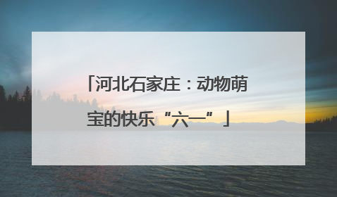 河北石家庄：动物萌宝的快乐“六一”