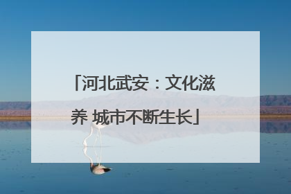 河北武安：文化滋养 城市不断生长