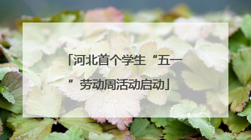 河北首个学生“五一”劳动周活动启动