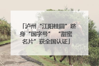 泸州“江阳桂圆”跻身“国字号” “甜蜜名片”获全国认证