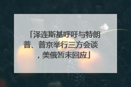泽连斯基呼吁与特朗普、普京举行三方会谈，美俄暂未回应
