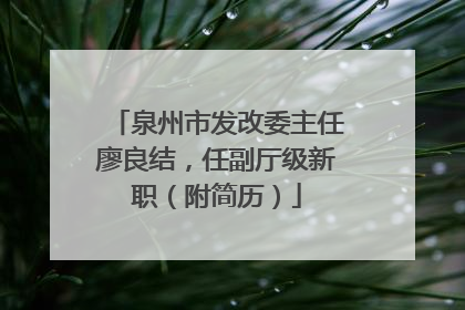 泉州市发改委主任廖良结，任副厅级新职（附简历）