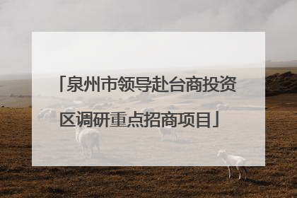 泉州市领导赴台商投资区调研重点招商项目