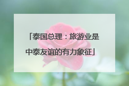 泰国总理：旅游业是中泰友谊的有力象征