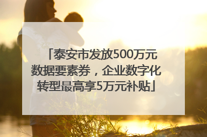 泰安市发放500万元数据要素券，企业数字化转型最高享5万元补贴