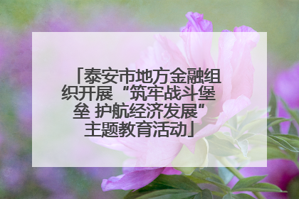 泰安市地方金融组织开展“筑牢战斗堡垒 护航经济发展”主题教育活动