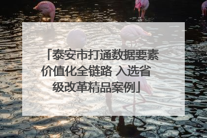 泰安市打通数据要素价值化全链路 入选省级改革精品案例