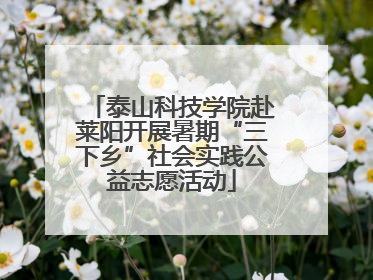 泰山科技学院赴莱阳开展暑期“三下乡”社会实践公益志愿活动