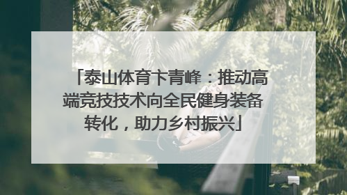 泰山体育卞青峰：推动高端竞技技术向全民健身装备转化，助力乡村振兴