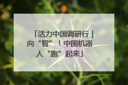 活力中国调研行｜向“智”！中国机器人“跑”起来