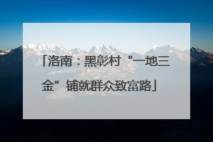 洛南：黑彰村“一地三金”铺就群众致富路