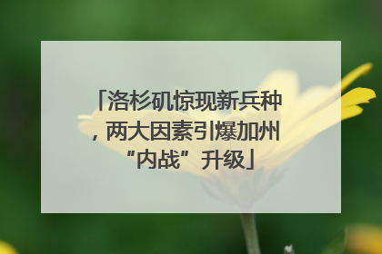 洛杉矶惊现新兵种，两大因素引爆加州“内战”升级